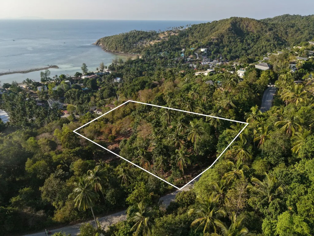 Aerial drone overview of the plot with bay visible in background