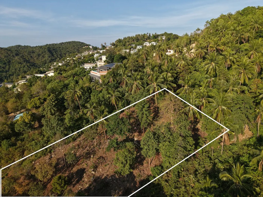 Aerial view showing slope gradient and tropical canopy