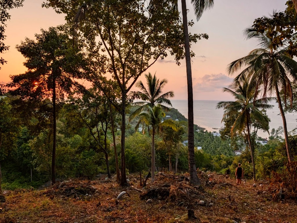 On-plot sunset view through tropical palms with Haad Salad bay below