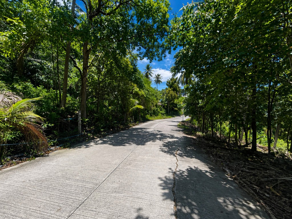Concrete public road providing direct access to the plot