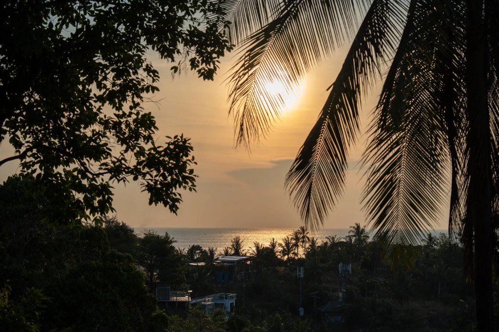 Sun setting through palm fronds with villas below