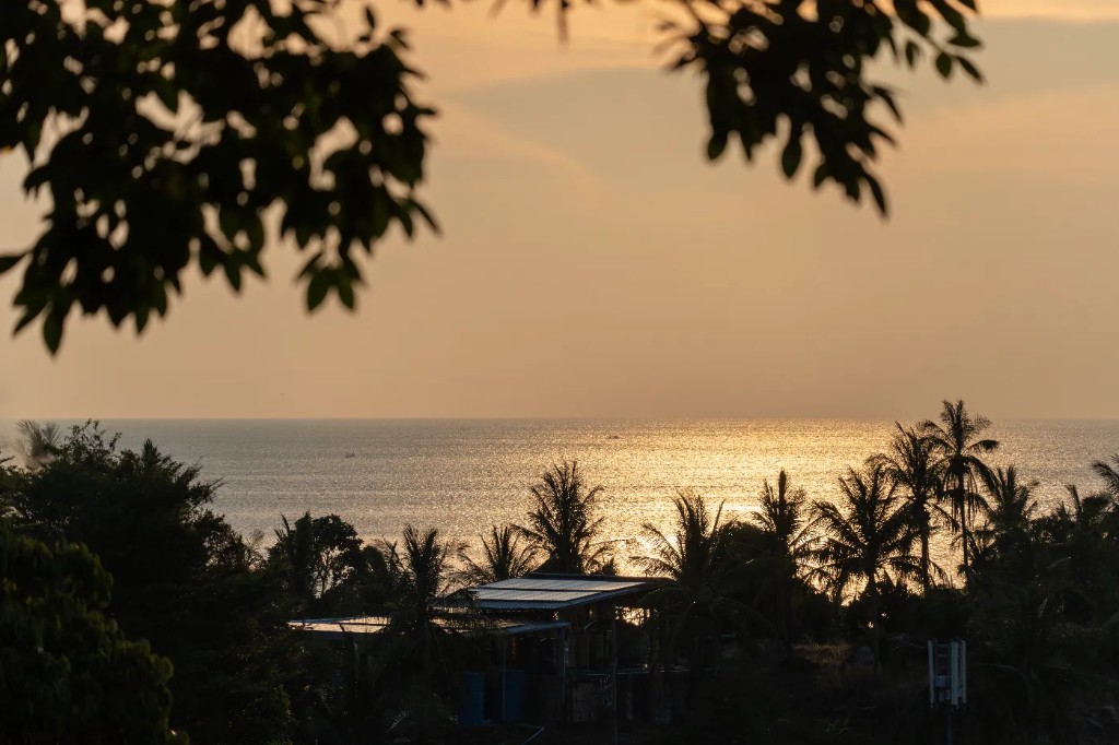 Golden hour sunset framed by tropical palms