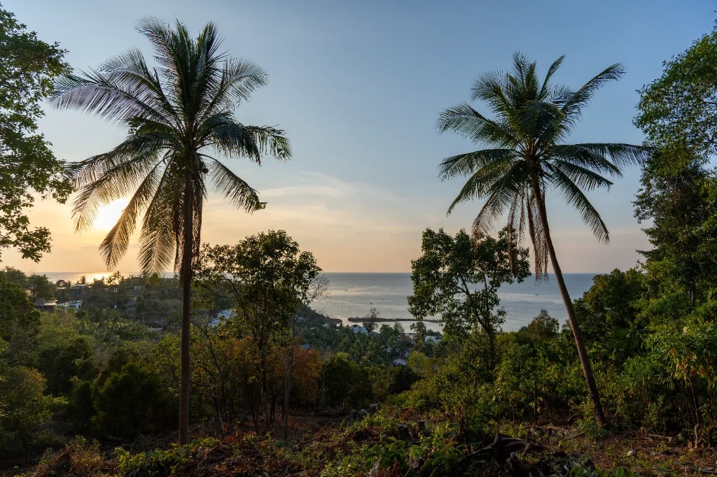Open sea at dusk framed through tropical trees